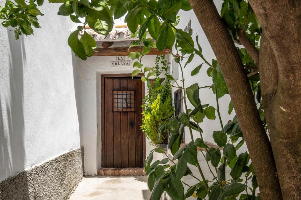 Casa Solana Villa Benadalid Bagian luar foto